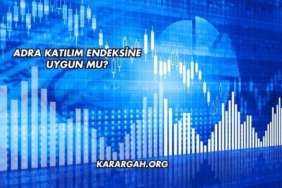 Adra Katılım Endeksine Uygun mu?