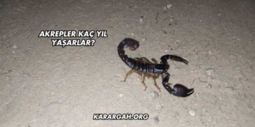 Akrepler Kaç Yıl Yaşarlar?