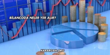 Bilançoda Neler Yer Alır?