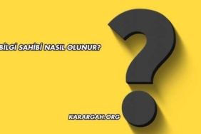 Bilgi Sahibi Nasıl Olunur?