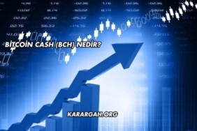 Bitcoin Cash (BCH) Nedir?