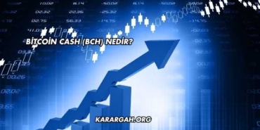 Bitcoin Cash (BCH) Nedir?
