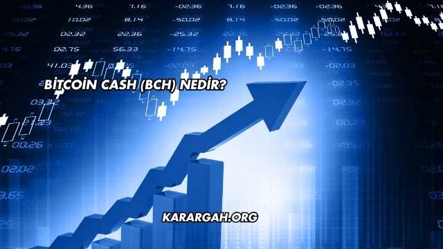 Bitcoin Cash (BCH) Nedir?