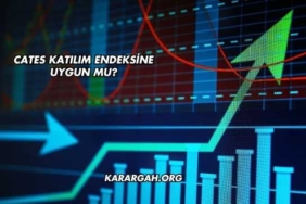 Cates Katılım Endeksine Uygun mu?