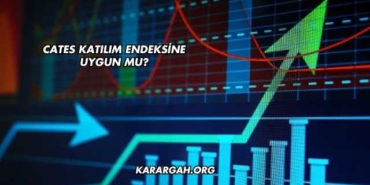 Cates Katılım Endeksine Uygun mu?