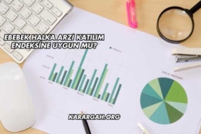 Ebebek Halka Arzı Katılım Endeksine Uygun mu?