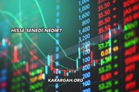 Hisse Senedi Nedir?