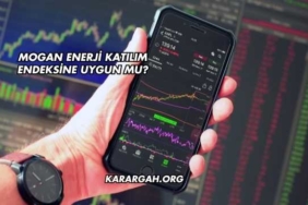 Mogan Enerji Katılım Endeksine Uygun mu?