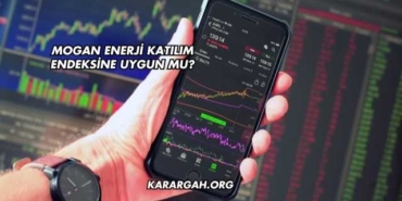 Mogan Enerji Katılım Endeksine Uygun mu?