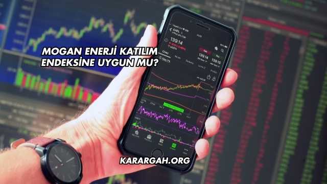 Mogan Enerji Katılım Endeksine Uygun mu?