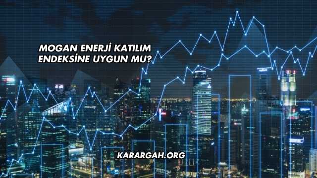 Mogan Enerji Katılım Endeksine Uygun mu?