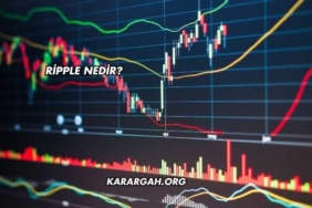 Ripple Nedir