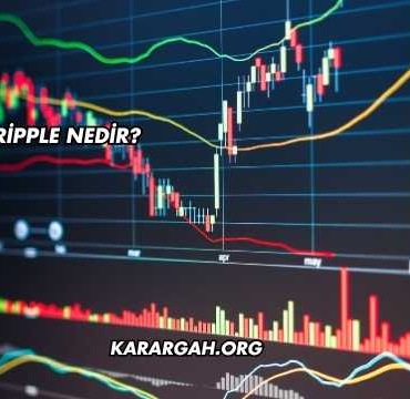 Ripple Nedir