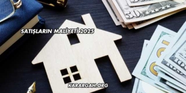 Satışların Maliyeti 2025