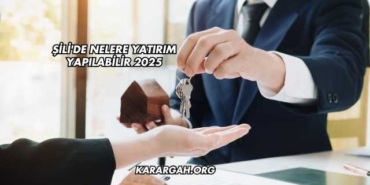 Şili'de Nelere Yatırım Yapılabilir 2025