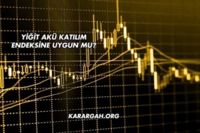 Yiğit Akü Katılım Endeksine Uygun mu?