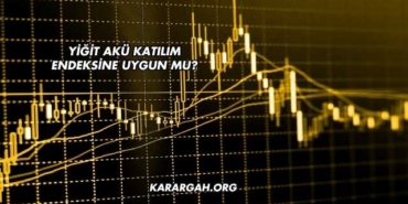 Yiğit Akü Katılım Endeksine Uygun mu?