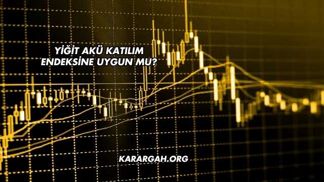 Yiğit Akü Katılım Endeksine Uygun mu?